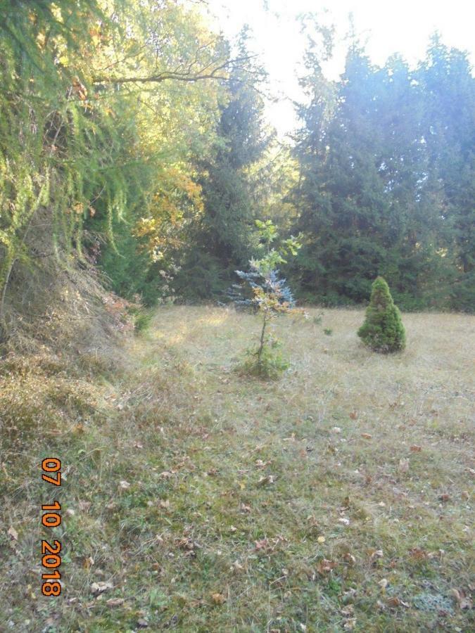 Wojtowka 16 Villa ล็องเดก-ซดรุย ภายนอก รูปภาพ